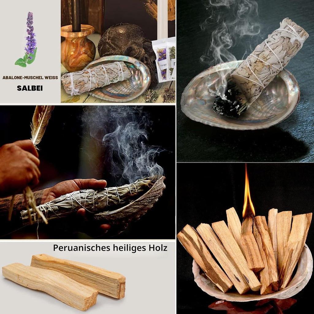 FAMKEEP Räucherset,Salbei Räuchern,Weißer Salbeis Zum Räuchern 3 Bündel,3 Wurzeln Palo Santo,Abalone-Muschel, Salbei Räuchern zur Energetischen Reinigung,Beseitigt Negative Energien